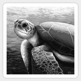 Sepia swimming sea turtle art Sticker